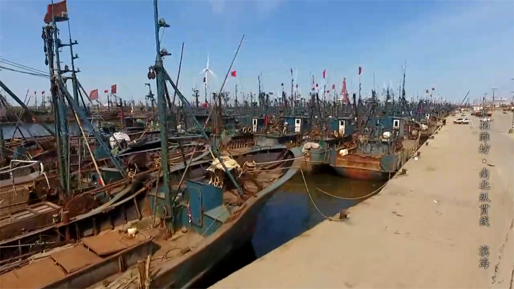 48秒航拍潍坊丨大型远洋渔船全天候进出潍坊渔港