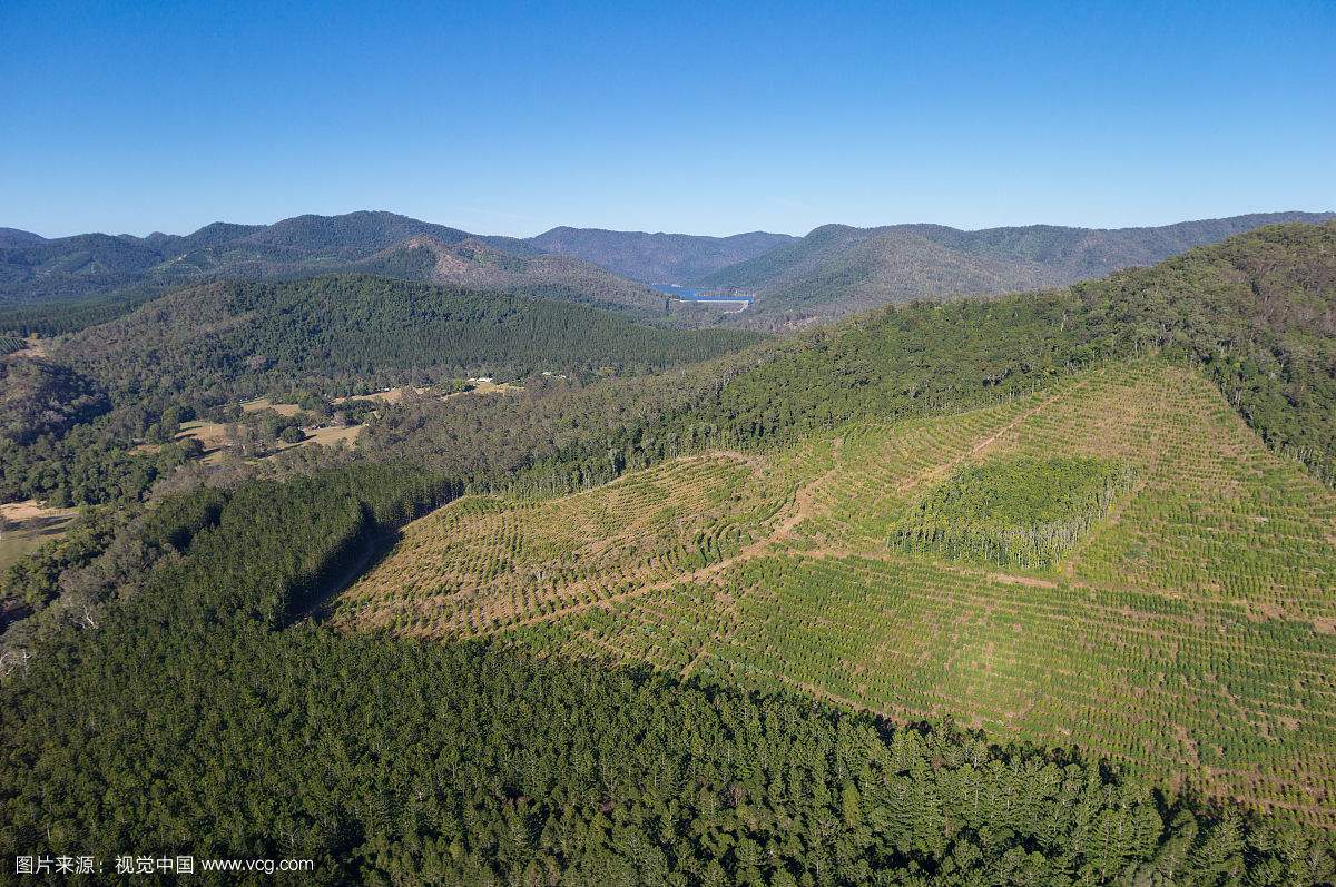 枣庄去年完成造林面积8万亩 实现林业增加值1.47亿元