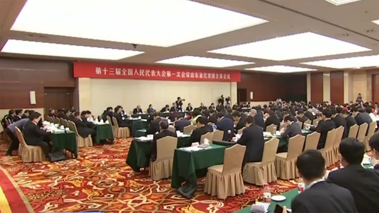 山东代表团举行第二次全体会议审议宪法修正案草案