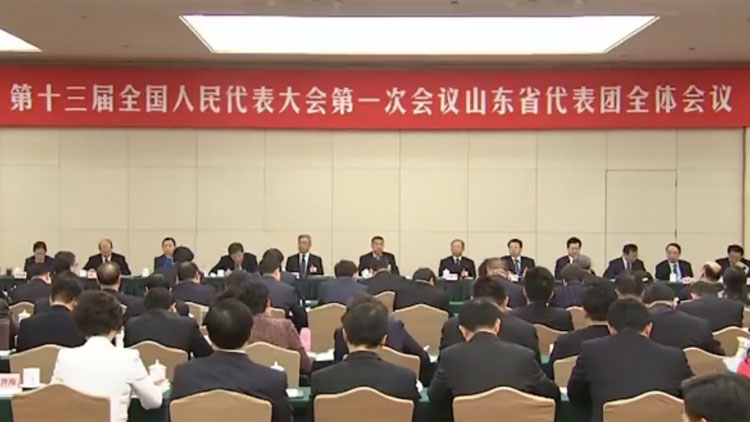刘家义在山东代表团审议宪法修正案草案