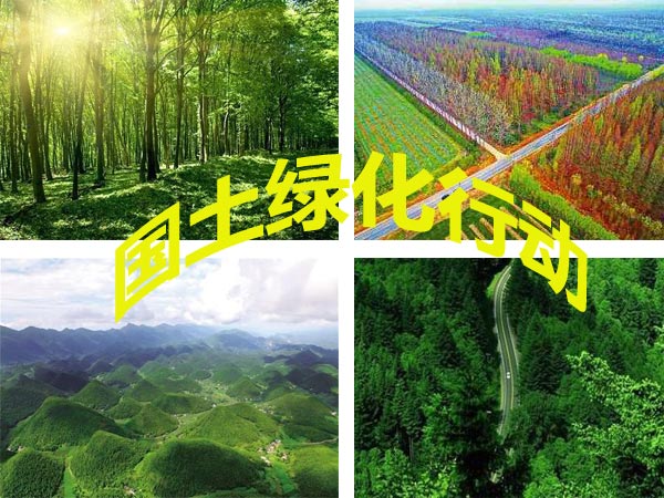 潍坊将启动大规模国土绿化行动 新增更新和改造林14万亩