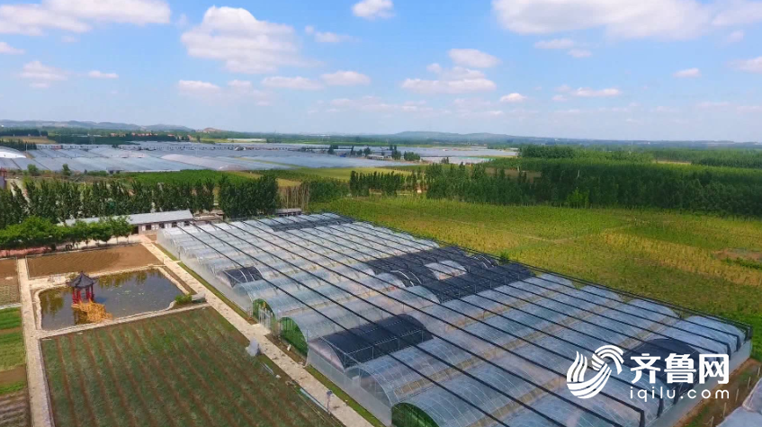 华西村人均收入_菏泽农民人均纯收入(3)