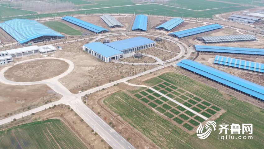 华西村人均收入_菏泽农民人均纯收入(3)