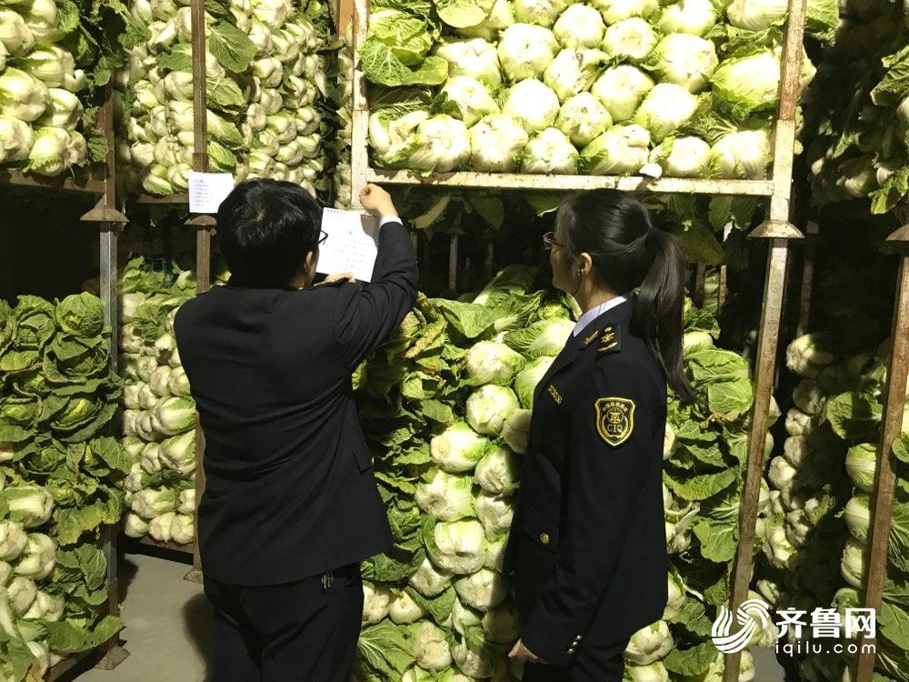 严苛标准倒逼质量提升 山东蔬菜出口日本增长