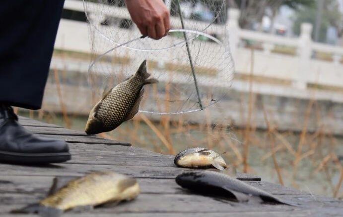 临沂五洲湖一角捞起四五十个捕鱼地笼 热心市民解网放生