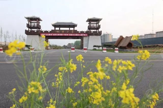 感受春的气息!不妨去滕州墨子湿地公园,范蠡西施风情园走走