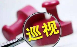 中共沂水县委关于省委巡视整改情况的通报
