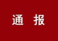 中共济南市纪委关于6起形式主义官僚主义典型问题的通报