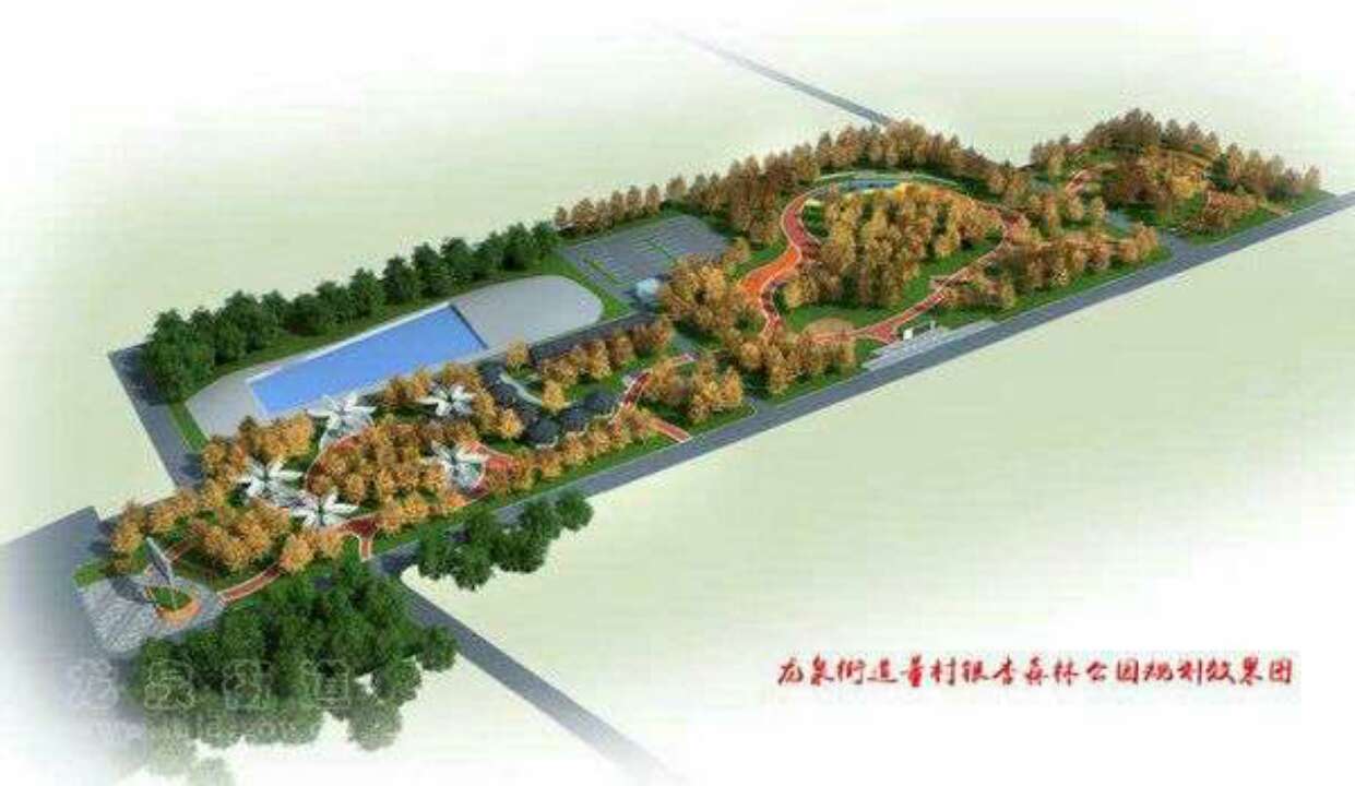 打造东部“城市绿肺”！枣庄滕州开建龙泉街道森林公园