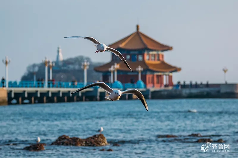 全国上演人才争夺战,山东强势加入!哪家强?