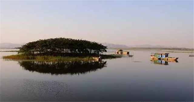 微山湖3.jpg