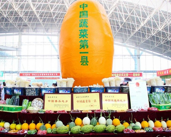 首届山东聊城(莘县)瓜菜菌博览会将于4月26日开幕