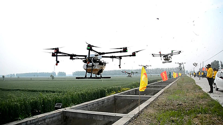 45秒 | 撒农药用上黑科技！30架无人机为千亩小麦保驾护航