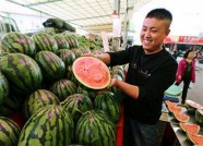 潍坊打造“昌乐农品”区域公用品牌 首批授权使用单位20家
