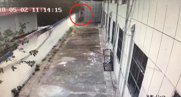 郯城一男子无证驾驶被查 从警队逃跑后又翻墙自投罗网