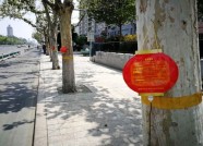 让城市变绿变美 潍坊胜利街行道树“喝”上“营养液”