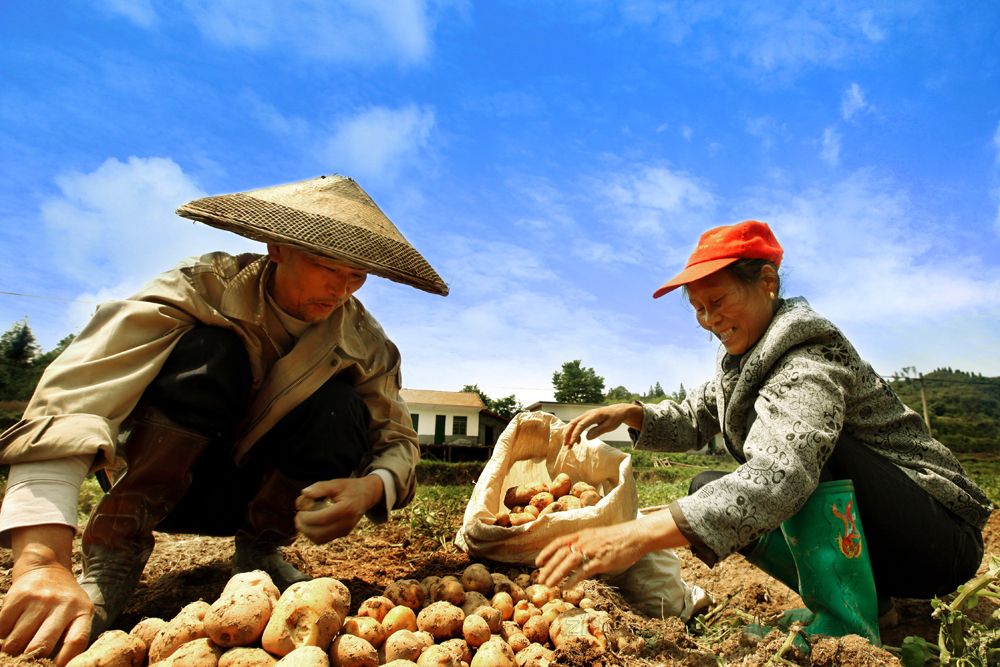 枣庄发布2018农业扶贫要点 贫困地区重点推行生态循环种养