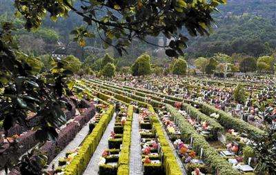 山东发布新公墓管理办法 生态墓穴不低于墓穴总数70%