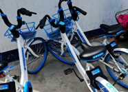 车身污损、车轮被锁……潍坊共享单车市场这些“乱象”谁来管？