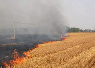 潍坊消防支队发布麦收期间火灾预警通告