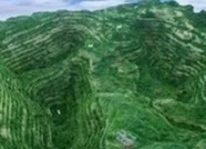 山东：到2020年新建矿山全部建成绿色矿山