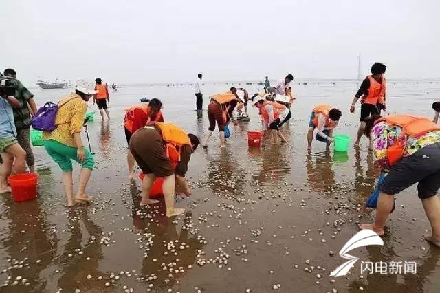 林海自行车骑行大赛 旅游 海洋渔业 依托羊口海洋资源,开辟了海上旅游