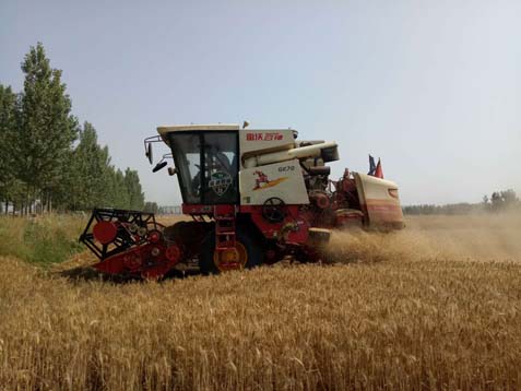 嘉祥县夏收夏种基本结束 67万亩小麦收割完毕