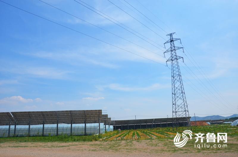 乡村振兴看泰安丨 新泰采煤沉陷区光伏发电项