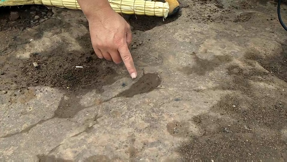 45秒丨山东发现世界首例群体小型恐爪龙类足迹