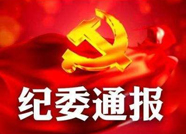 潍坊市纪委监委通报3起诬告陷害诽谤党员干部典型问题
