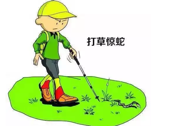 莒县沭河公园发布提醒：有蛇出没外出散步锻炼要留心