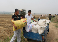 泰安农民出售麦子“少”千斤 收购者坑农害农诈骗被拘留