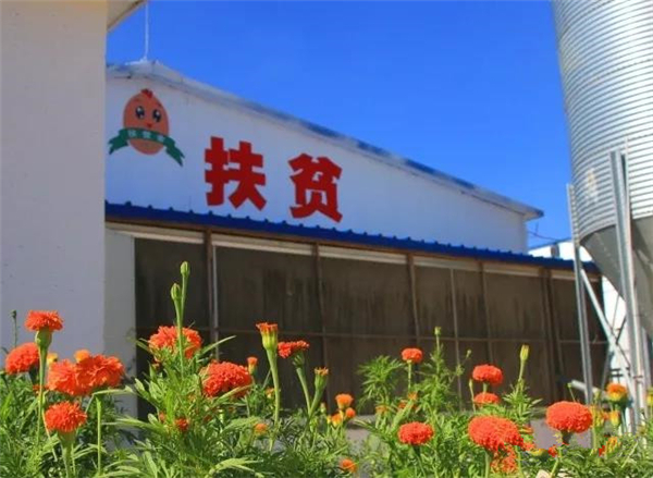 长清马山“凤凰部落”即将面世 为全省最大蛋鸡文化休闲公园