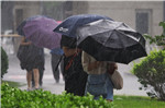 台风“安比”致潍坊3.5万人受灾 经济损失4533万元