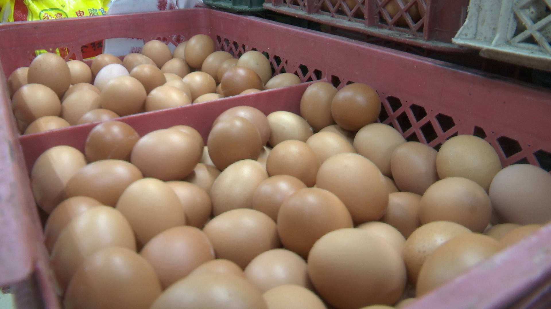 鸡蛋价格持续攀升 山东多地蛋价进入“4元时代”