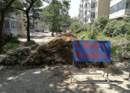 潍坊早春园部分道路被挖致通行受阻 相关部门回应：下月竣工