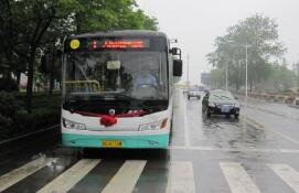 注意！临沂城区这11条公交线路恢复原线路运营