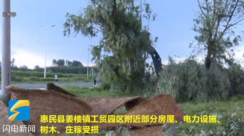 45秒|受台风“摩羯”影响 滨州惠民姜楼工贸园区内受损