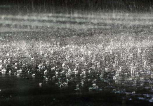 海丽气象吧丨“摩羯”来袭 滨州迎来强降雨 最大雨量126mm