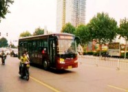1站点位移1站点取消 潍坊对这3条公交线路进行优化调整
