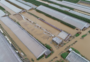航拍｜临沂部分县区遭遇暴雨洪涝灾害  农田一片汪洋