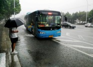 不让“温比亚”成为“拦路虎” 潍坊单日公交发车量升至9188班次