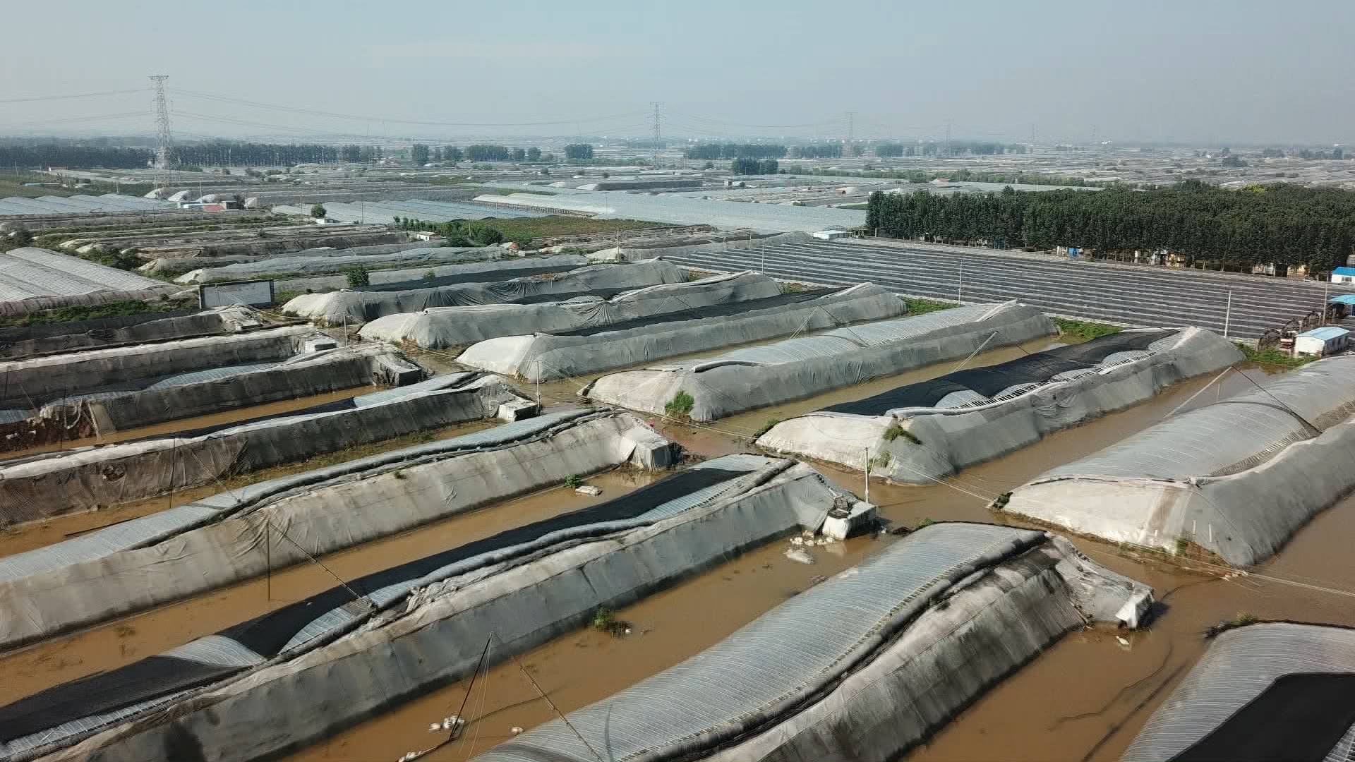 26秒｜独家航拍寿光纪台镇洪灾现场 大量住宅农田被淹
