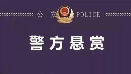最高奖励5万元！阳谷警方悬赏缉拿3名在逃嫌疑人