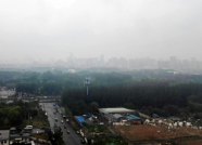海丽气象吧丨潍坊将再次迎来降雨 最低气温降至15℃