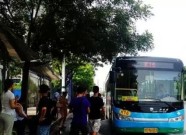1条线路调整6条线路恢复原线 潍坊这些公交线路有变化