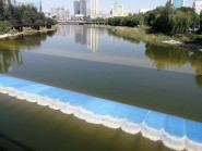 追踪丨水库放水“增援” 潍坊白浪河重现“碧波荡漾”景观