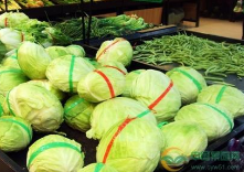淄川通告7批次不合格食品 蔬菜中检出杀虫剂成分