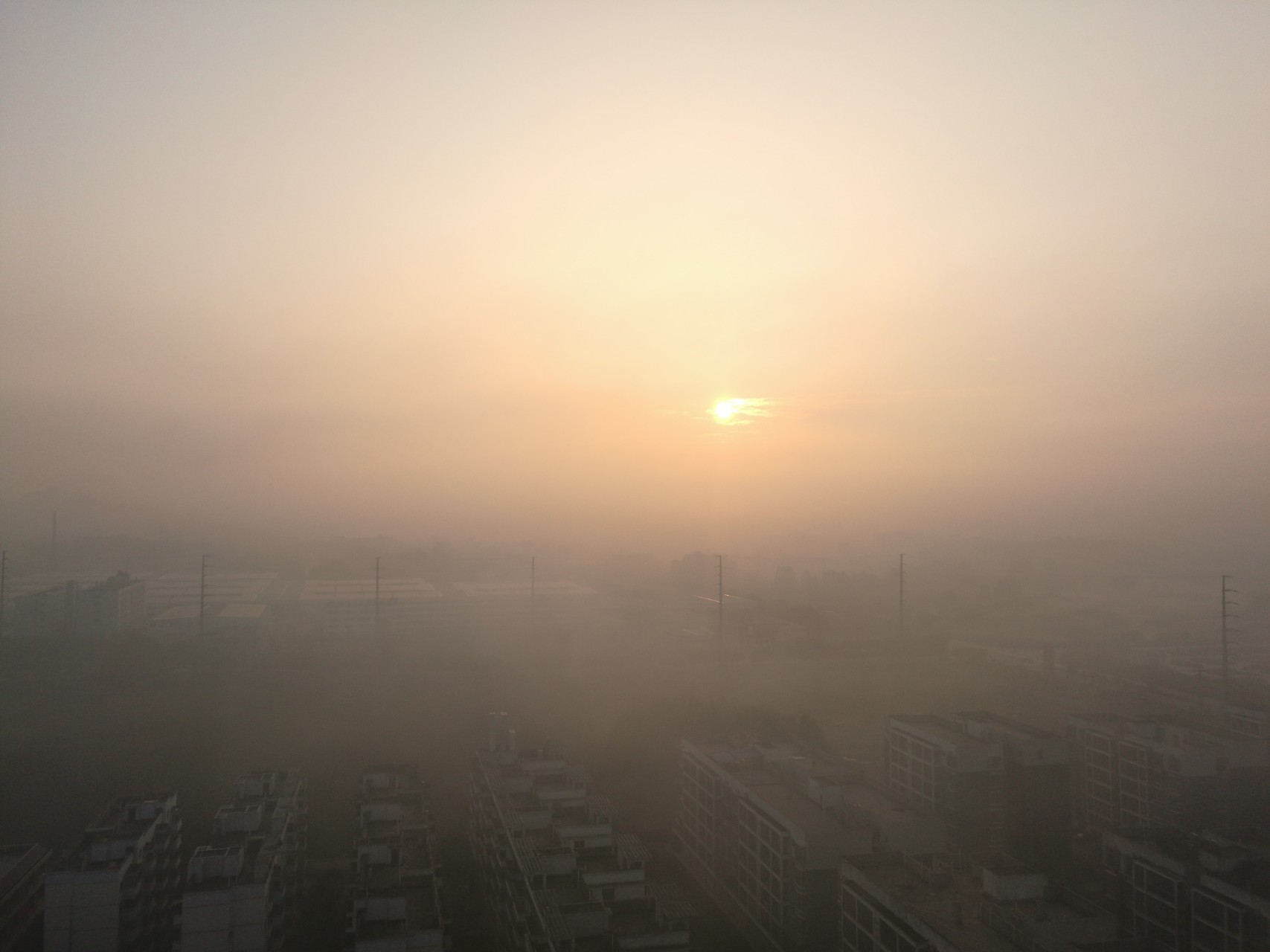 最新消息！济宁滕州大部分地区有雾 道路能见度10米