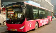 “汽改水”路段恢复通车 潍坊这10条公交线路恢复原线运行